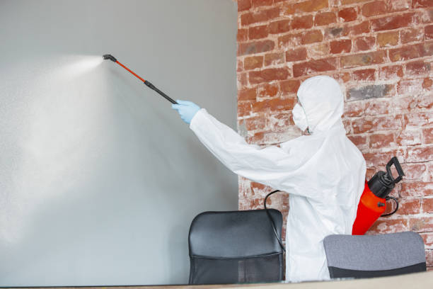Best Air Quality Testing for Mold Spores  in Whidbey Island Station, WA