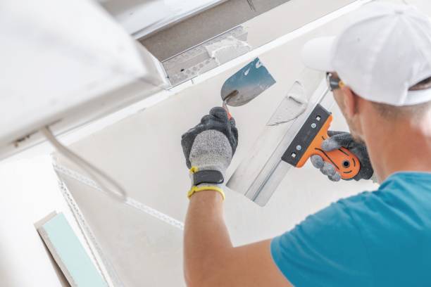 Best Environmental Consulting for Mold Prevention  in Whidbey Island Station, WA